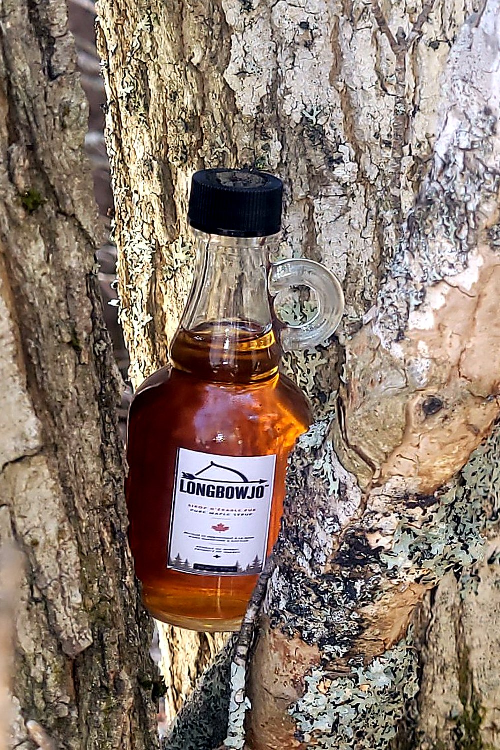 Bouteille de sirop LongbowJo dans l’écorce