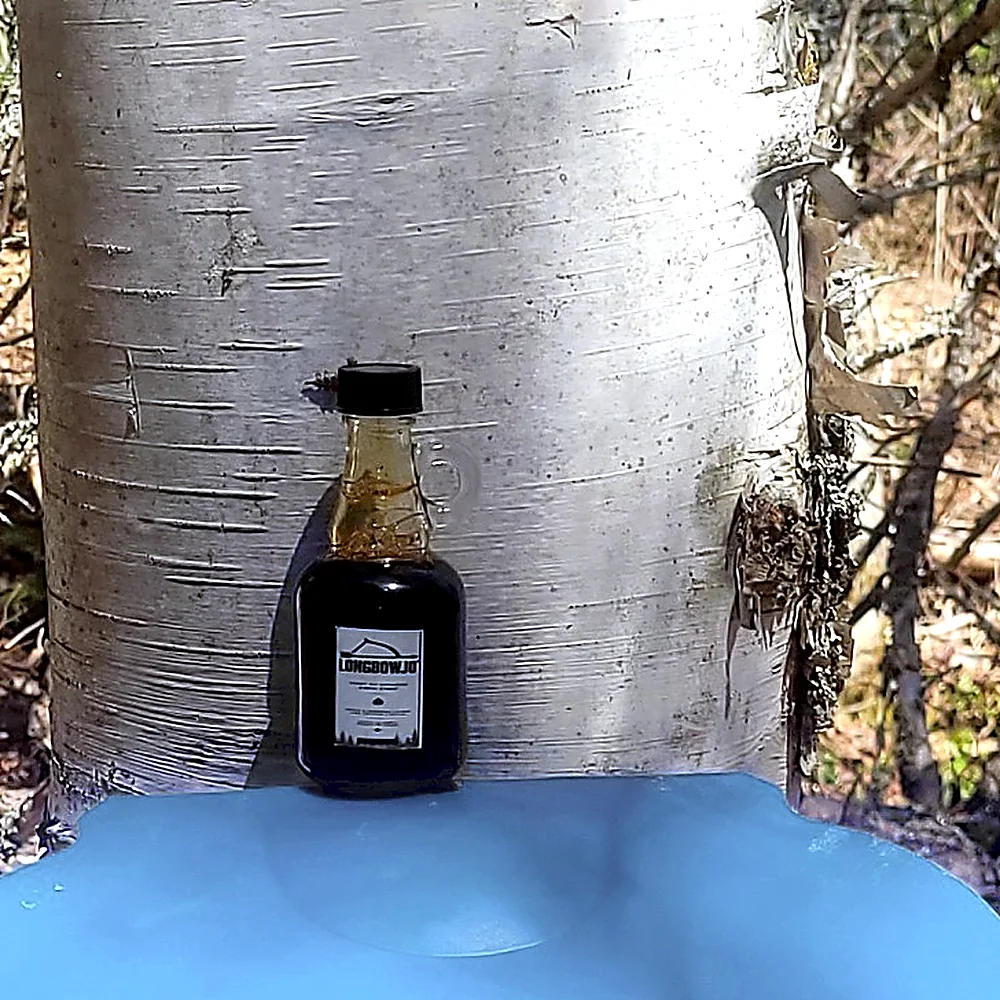 Sirop de bouleau LongbowJo