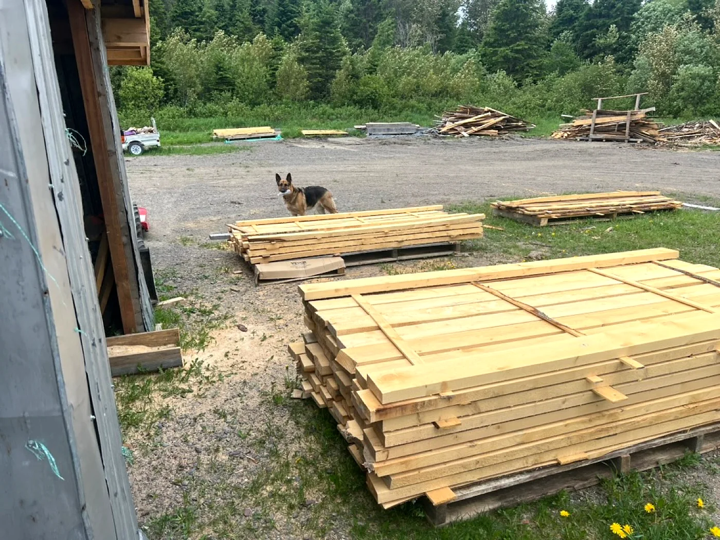 Lots de planches LongbowJo près de l’atelier de transformation