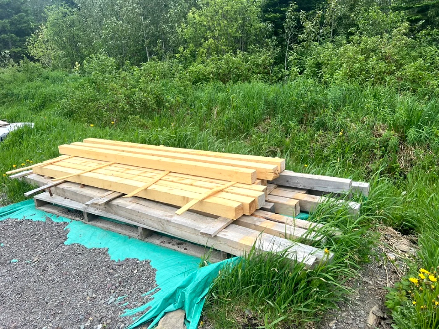 Planches locales LongbowJo empilées près de la forêt
